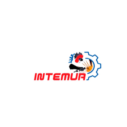 Logo Intemur